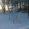 winter_2010_06.jpg